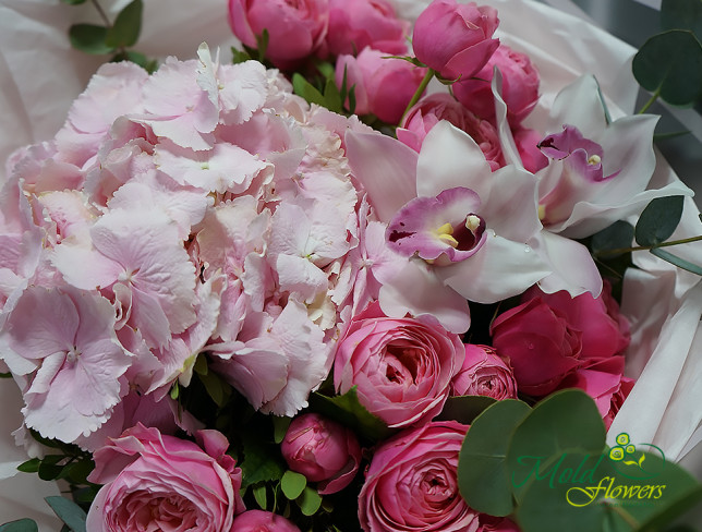 Букет с розовой гортензией и пионовидными розами Silvia pink ,,Кокетка'' Фото